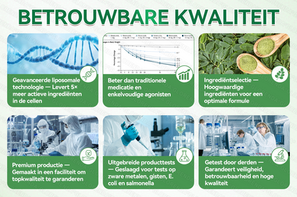 Officiële winkel | 💃 𝗚𝗟𝗢𝗥𝗘𝗡𝗗𝗔® Moringa · Berberine + NAD+ – 10-in-1 Geavanceerde Nano Micronaald Patch (slechts 1× per dag, zichtbare veranderingen binnen 7 dagen) | Voor obesitas, losse huid, diabetes, slaapapneu, gewrichtsproblemen en meer